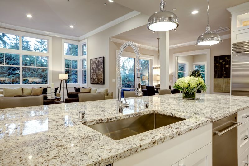 Countertop Renovation
