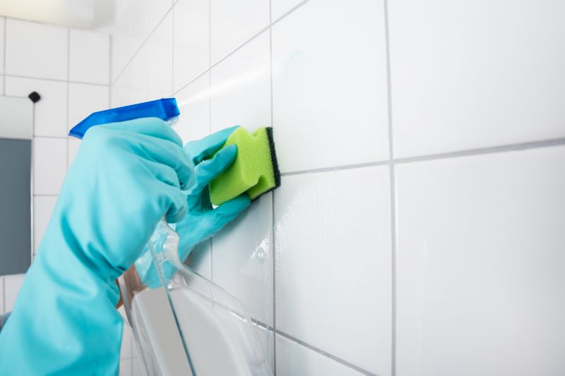 Shower Tile Polishing